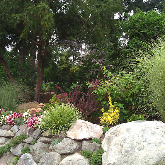 A lush garden with color in every season