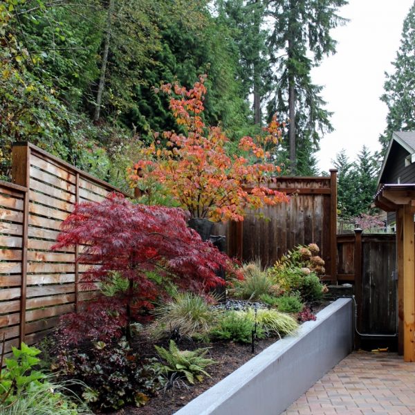 View of planting bed behind the existing concrete retaining wall, which has been cleaned and painted with a soothing medium gray.