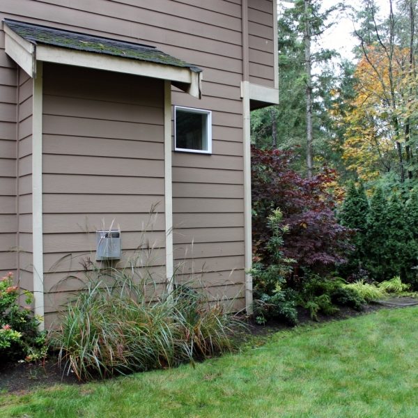 Pieris for all-year interest. Miscanthus looks best in summer and fall. It gets trimmed down in winter thus not getting affected by the hot air from the chimney vent in winter & early spring.