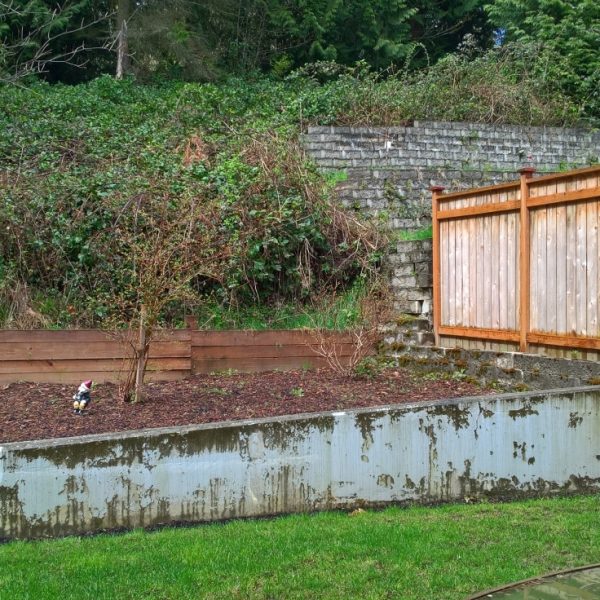 Unsightly view from sliding door of the dining room, too exposed to the woods.