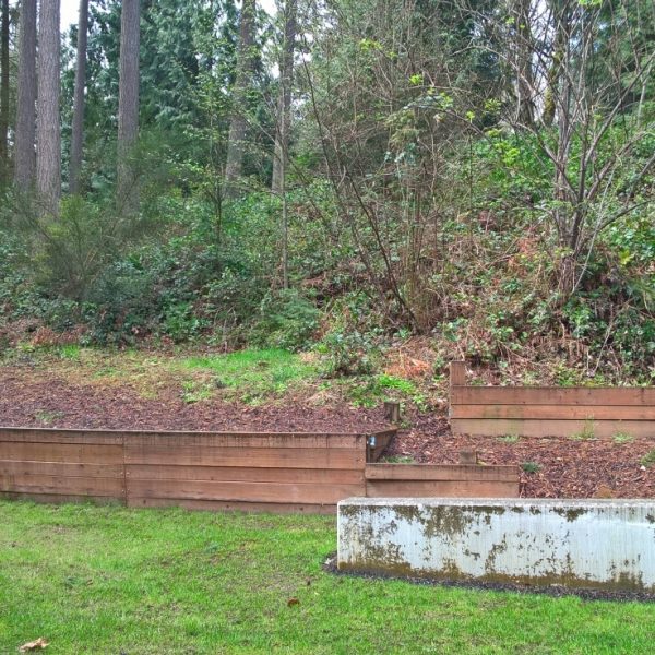 View from existing patio, zero value in the lawn covered areas – part 1