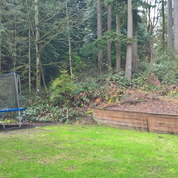 View from existing patio, zero value in the lawn covered areas – part 2